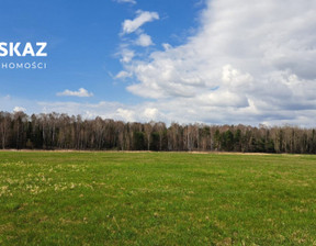 Działka na sprzedaż, Będziński Siewierz Brudzowice, 590 000 zł, 12 228 m2, DOM818407