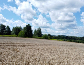 Działka na sprzedaż, Brzeski Dębno Sufczyn Szkolna, 130 000 zł, 2400 m2, DUD-GS-75