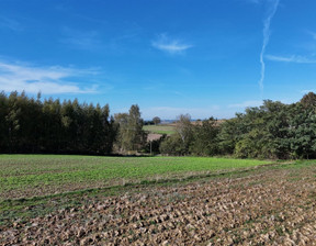 Działka na sprzedaż, Proszowicki Koszyce Jaksice, 25 000 zł, 750 m2, DUD-GS-122