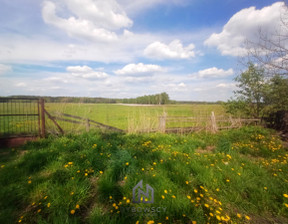 Działka na sprzedaż, Miński Stanisławów Cisówka, 850 000 zł, 3300 m2, 368027