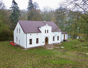 Dom na sprzedaż, Mogileński Strzelno Bławaty, 1 250 000 zł, 416 m2, 3/16544/ODS