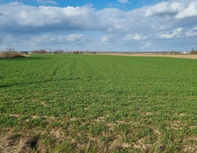 Rolny na sprzedaż, Płoński (Pow.) Raciąż (Gm.) Łempino, 1 200 000 zł, 118 400 m2, 156