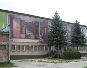 Biuro na sprzedaż, Włodawski Włodawa, 900 000 zł, 2532 m2, 892358
