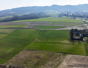 Działka na sprzedaż, Dębicki Pilzno Zwiernik, 279 000 zł, 21 531 m2, 28/GBN/DZS-109