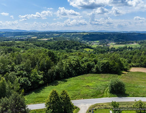 Działka na sprzedaż, Tarnowski Rzepiennik Strzyżewski, 113 000 zł, 3800 m2, 11/GBN/DZS-71