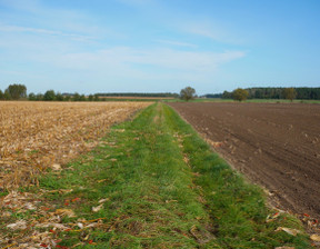 Działka na sprzedaż, Grodziski (Pow.) Granowo (Gm.) Strzępiń, 2 787 200 zł, 20 800 m2, 6