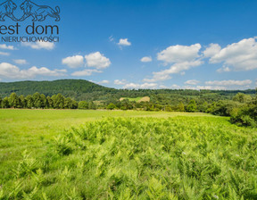 Działka na sprzedaż, Gorlicki Uście Gorlickie Hańczowa, 85 000 zł, 1994 m2, 1335