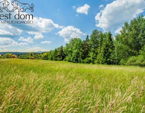 Budowlany na sprzedaż, Gorlicki Uście Gorlickie, 29 000 zł, 881 m2, 1090