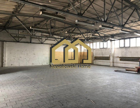 Magazyn, hala do wynajęcia, Śremski Śrem, 4000 zł, 280 m2, 1/15637/OHW