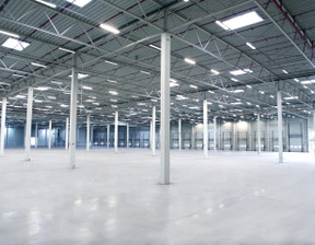 Magazyn do wynajęcia, Gdański Kolbudy Kowale, 90 000 zł, 5000 m2, 136