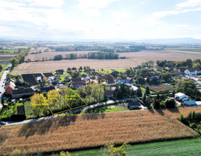 Działka na sprzedaż, Wrocławski Kobierzyce Cieszyce Kasztanowa, 250 000 zł, 1500 m2, POTR-GS-356