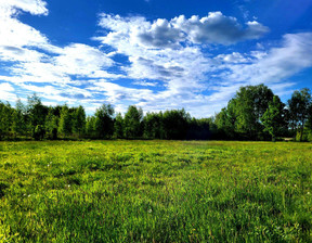 Działka na sprzedaż, Oleśnicki Oleśnica, 10 675 000 zł, 152 500 m2, 26481