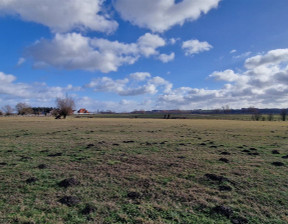 Działka na sprzedaż, Grudziądzki Grudziądz Brankówka, 60 000 zł, 6800 m2, BAJ-GS-5695