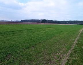 Działka na sprzedaż, Łowicki Łowicz Łódzka, 65 000 zł, 6500 m2, 830454