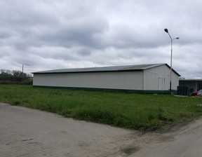 Komercyjne do wynajęcia, Trzebnicki Wisznia Mała Psary Główna, 4000 zł, 150 m2, 829726