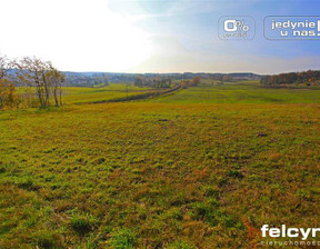 Działka na sprzedaż, Kartuski (pow.) Żukowo (gm.) Borkowo Brzozowa, 520 000 zł, 5223 m2, FE0281