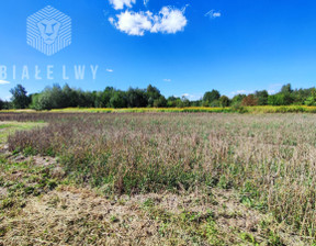 Budowlany-wielorodzinny na sprzedaż, Warszawski Zachodni Stare Babice Izabelińska, 800 000 zł, 800 m2, BLN624777