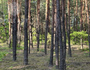 Leśne na sprzedaż, Miński Dobre Gęsianka, 108 000 zł, 5200 m2, BLN374189