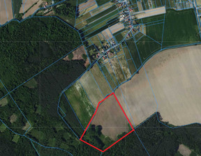 Działka na sprzedaż, Namysłowski (Pow.) Namysłów (Gm.) Minkowskie, 520 000 zł, 102 700 m2, 2