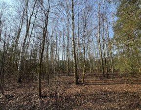 Budowlany na sprzedaż, Grodziski (pow.) Grodzisk Mazowiecki (gm.) Książenice, 550 000 zł, 1765 m2, 19