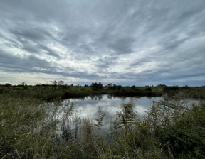 Działka na sprzedaż, Kielecki Morawica Radomice, 3 750 000 zł, 75 000 m2, GH733879