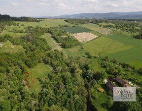 Działka na sprzedaż, Lubański Leśna Świecie, 197 000 zł, 11 615 m2, 4593