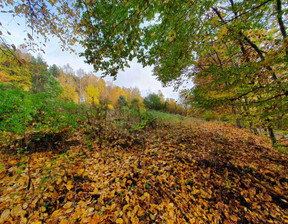 Działka na sprzedaż, Koszalin Lubiatowska, 199 000 zł, 892 m2, 3403176