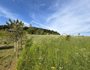 Działka na sprzedaż, Limanowski Łukowica Przyszowa, 159 000 zł, 1500 m2, 288/3923/OGS