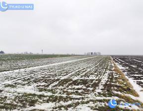 Rolny na sprzedaż, Krakowski Iwanowice Sieciechowice, 75 000 zł, 3332 m2, 208/3923/OGS