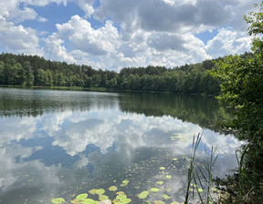 Działka na sprzedaż, Olsztyński Olsztynek Świerkocin, 980 000 zł, 10 451 m2, 875473