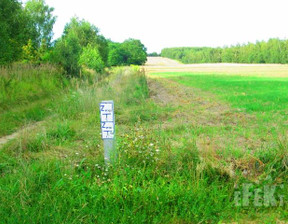 Działka na sprzedaż, Skierniewicki Kowiesy Lisna, 160 000 zł, 2000 m2, 17