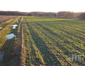 Działka na sprzedaż, Żyrardowski Puszcza Mariańska Lisowola, 200 000 zł, 10 900 m2, 250