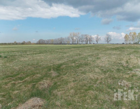 Budowlany na sprzedaż, Żyrardowski Puszcza Mariańska Zator, 150 000 zł, 3006 m2, 190