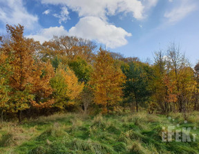 Działka na sprzedaż, Żyrardowski Puszcza Mariańska Lisowola, 2 420 000 zł, 55 900 m2, 151