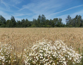 Działka na sprzedaż, Żyrardowski Mszczonów Gurba, 1 250 000 zł, 67 300 m2, 134