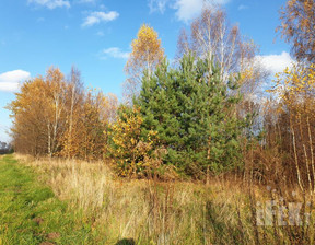 Działka na sprzedaż, Żyrardowski Puszcza Mariańska Stary Łajszczew, 539 000 zł, 44 500 m2, 211