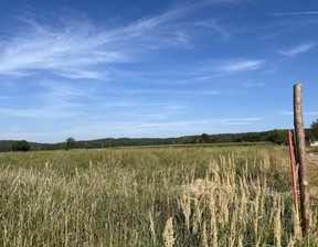 Działka na sprzedaż, Strzeliński Strzelin Dębniki Lipowa, 90 000 zł, 1000 m2, 15