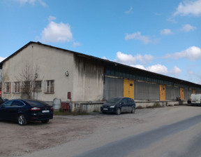 Lokal do wynajęcia, Poznań Szczepankowo-Spławie-Krzesinki Ostrowska, 8817 zł, 1603 m2, 21108896