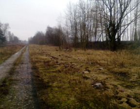 Przemysłowy do wynajęcia, Sokólski (Pow.) Dąbrowa Białostocka (Gm.) Dąbrowa Białostocka, 5836 zł, 2000 m2, 484