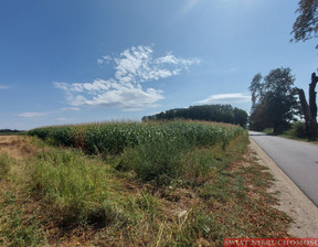 Działka na sprzedaż, Oleśnicki Oleśnica Krzeczyn, 2 490 000 zł, 30 010 m2, 2067/3265/OGS