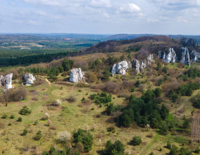 Działka na sprzedaż, Zawierciański (Pow.) Włodowice (Gm.) Rzędkowice Polna, 89 000 zł, 700 m2, 24084832