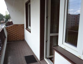 Mieszkanie do wynajęcia, Katowice Koszutka Modrzewiowa, 2800 zł, 62 m2, 19018655