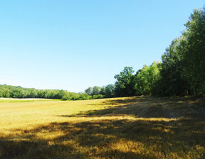 Działka na sprzedaż, Grudziądzki Gruta, 220 000 zł, 48 300 m2, 39/5662/OGS