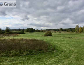 Działka na sprzedaż, Szczycieński (Pow.) Pasym (Gm.) Siedliska Jez. Kalwa, 750 000 zł, 41 910 m2, GA0610