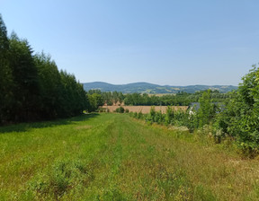 Działka na sprzedaż, Krośnieński (Pow.) Rymanów (Gm.) Ladzin, 60 000 zł, 4000 m2, 0001