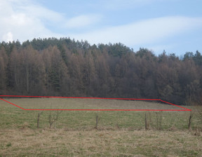 Rolny na sprzedaż, Sanocki (Pow.) Komańcza (Gm.) Rzepedź, 39 000 zł, 5460 m2, 031