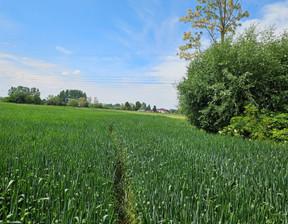 Działka na sprzedaż, Buski Pacanów Rataje Słupskie, 27 000 zł, 5411 m2, JSN-GS-2865