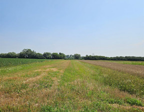 Działka na sprzedaż, Dąbrowski Gręboszów, 19 000 zł, 2800 m2, JSN-GS-2876