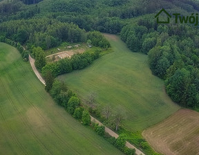 Działka na sprzedaż, Olecki Kowale Oleckie Szarejki, 130 000 zł, 21 429 m2, 234758