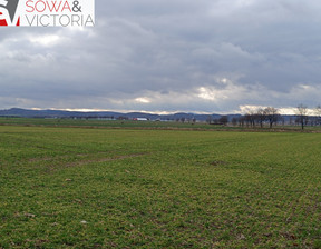 Budowlany na sprzedaż, Świdnicki Strzegom Olszany, 137 500 zł, 1375 m2, 621/14328/OGS